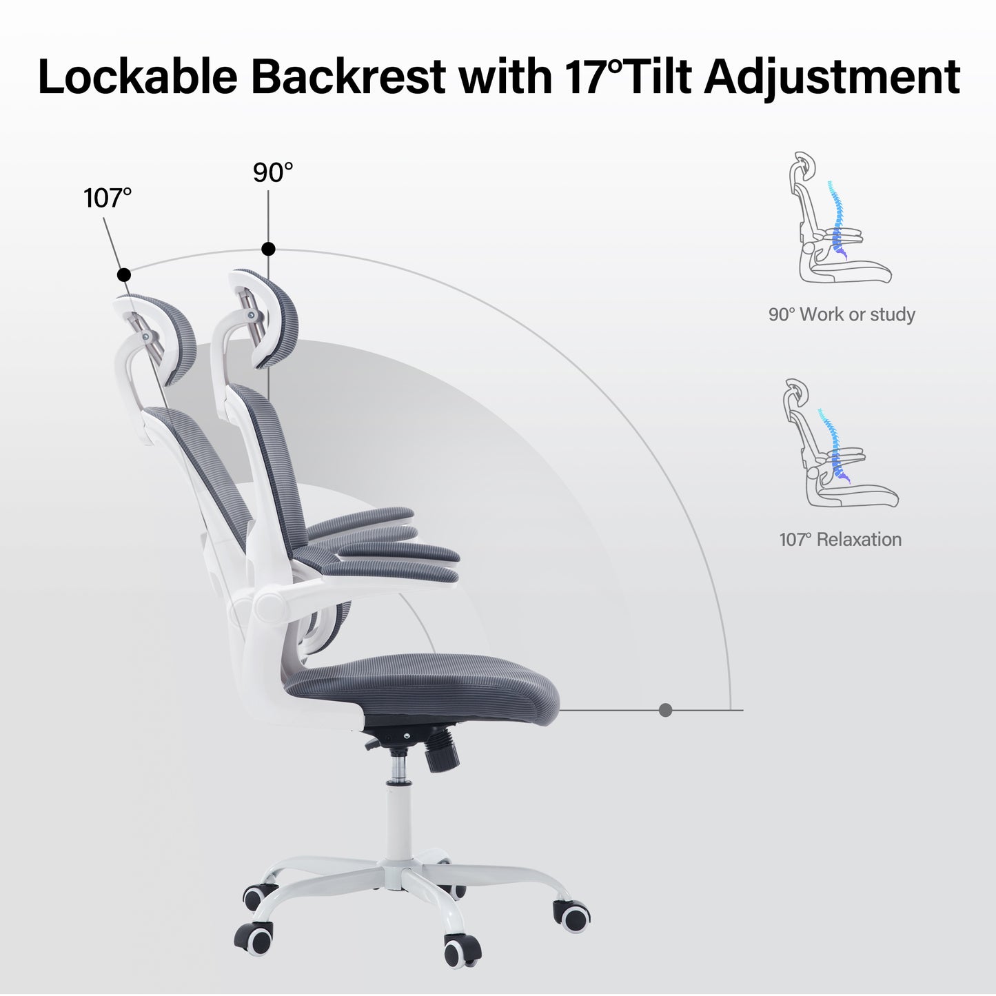 Hiskc High Back Lumbar Support and Armrest Office Desk Chair, Grey