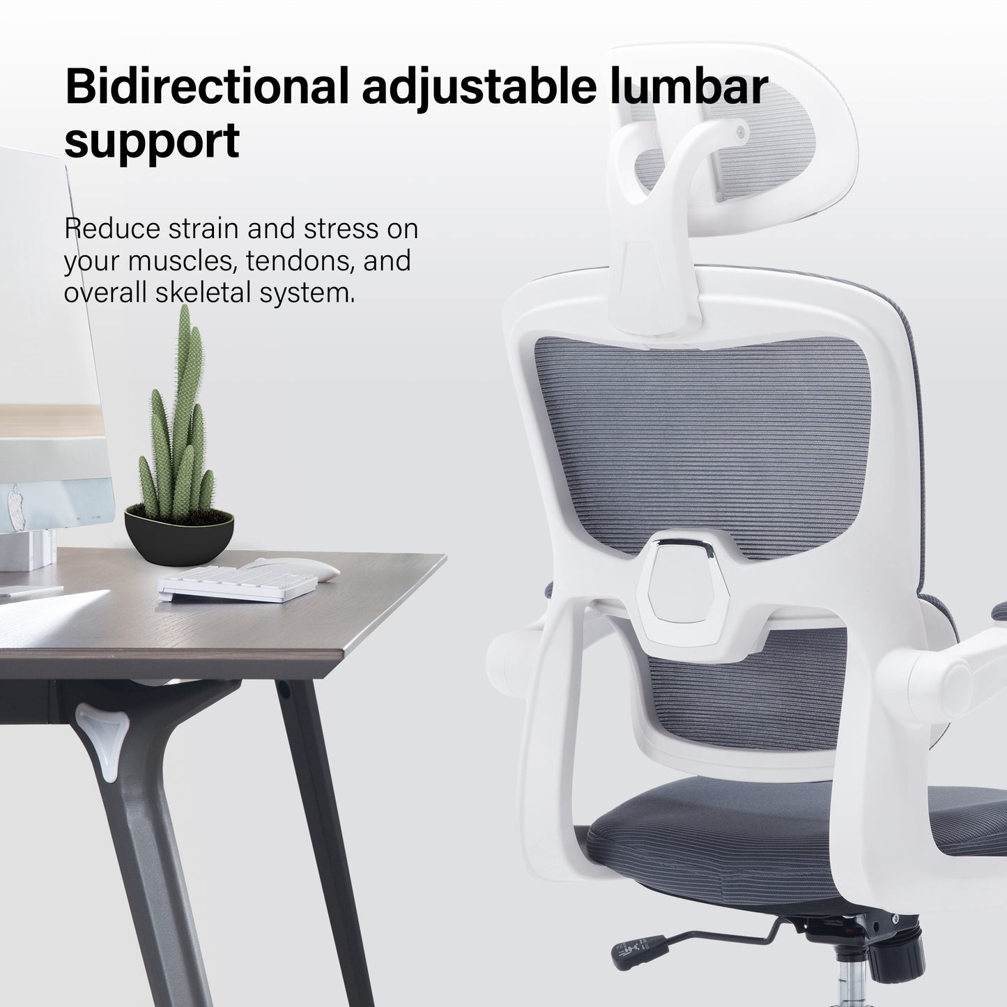 Hiskc High Back Lumbar Support and Armrest Office Desk Chair, Grey